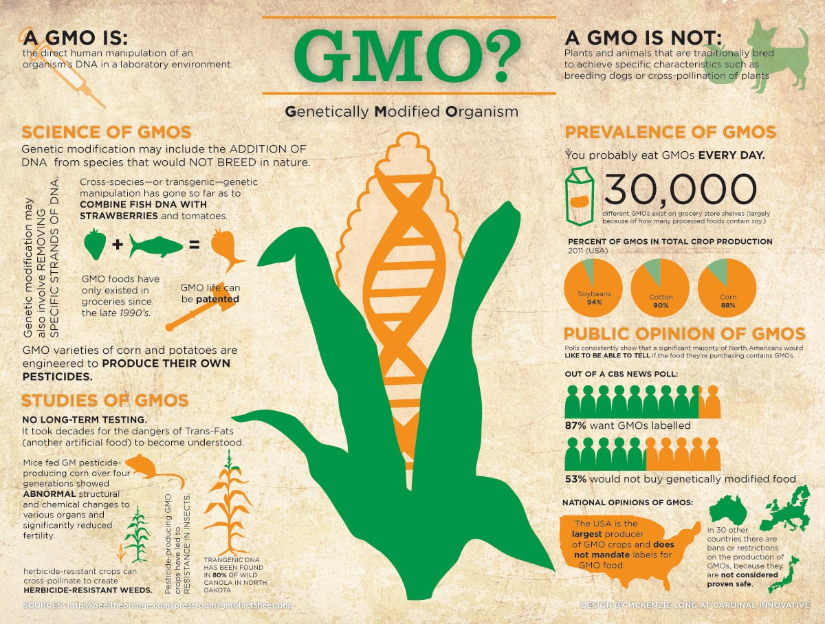 gmo-genetically-modified-organism_50290d5e92a11