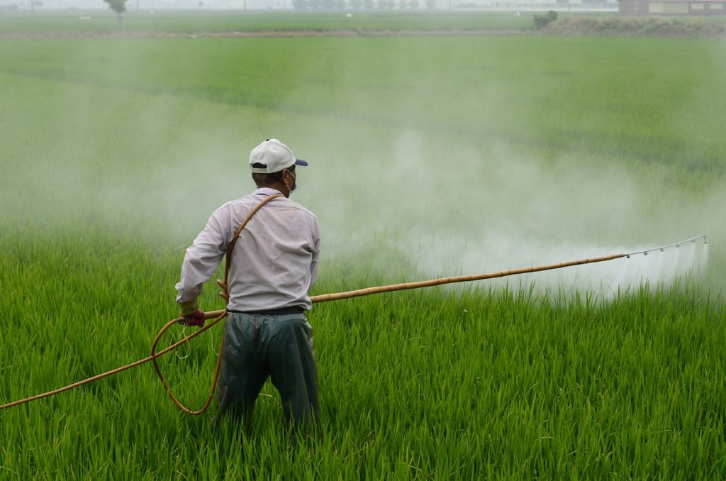 A worker wearing a mask who is spraying pesticides on crops