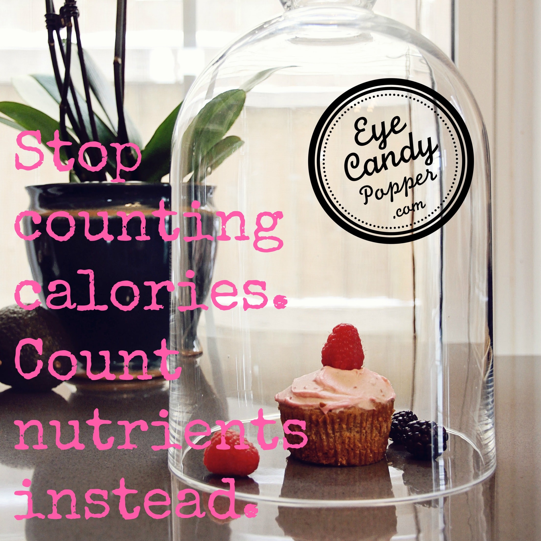 stop counting calories - www.eyecandypopper.com