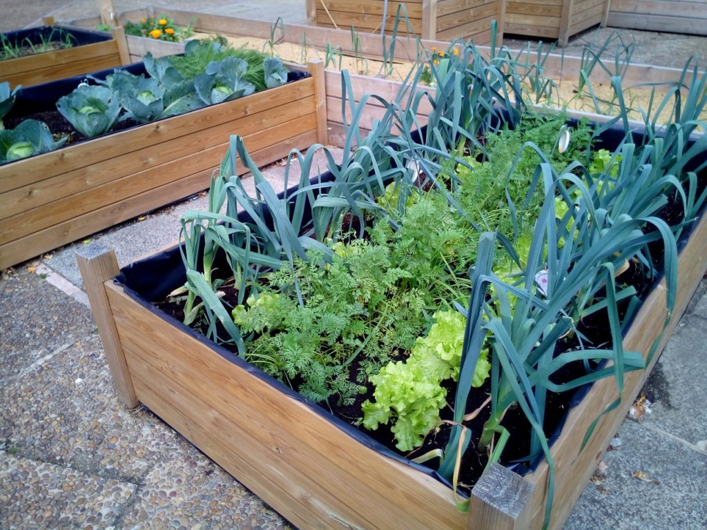 a small vegetable garden in a wood box