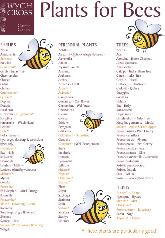 Plants_for_Bees