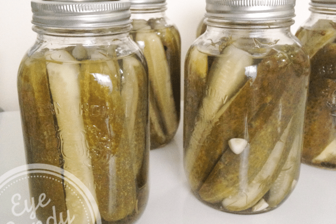 homemade organic dill pickles