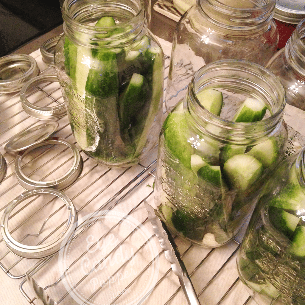 how to make your own pickles