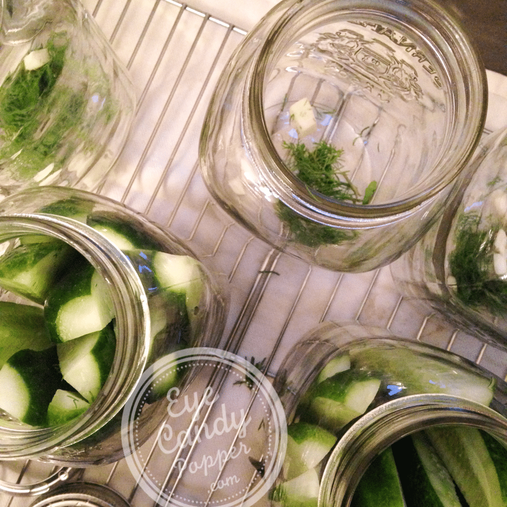 how to make your own pickles