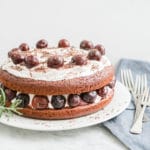 Healthy Chocolate Cake and Whipped Coconut Icing | Dairy-Free, Soy-Free, Low Sugar, Wholegrain